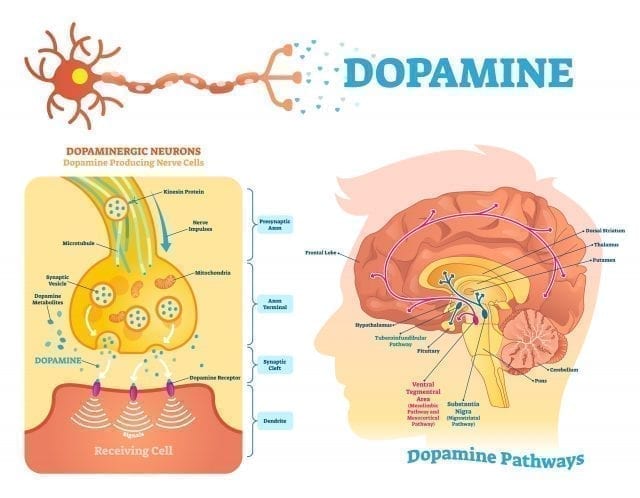 Generar dopamina