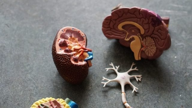 What causes brain zaps?