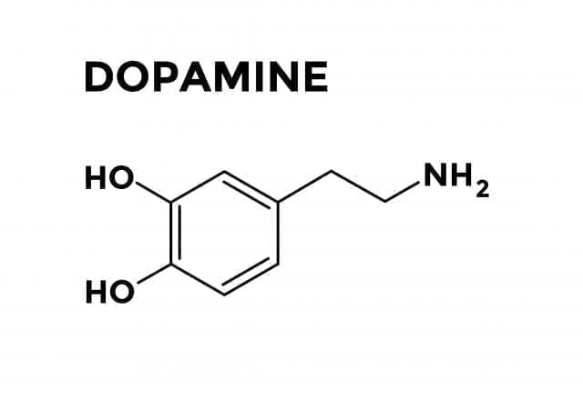 ¿Qué es la dopamina y para qué sirve?